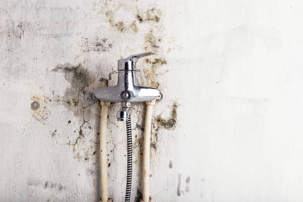 Mold Testing and Removal in Anthony, KS