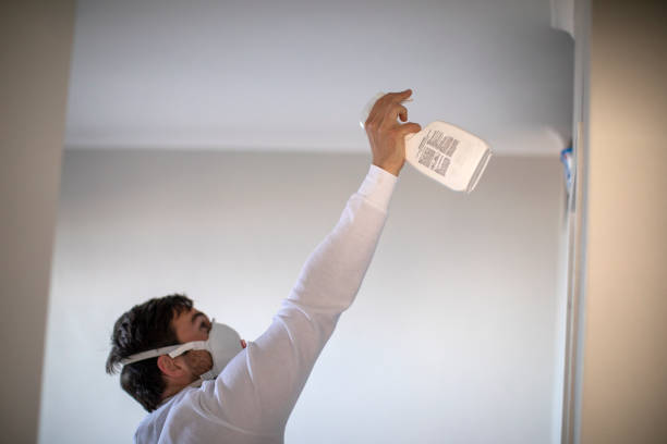 Best Mold Removal Near Me  in Anthony, KS