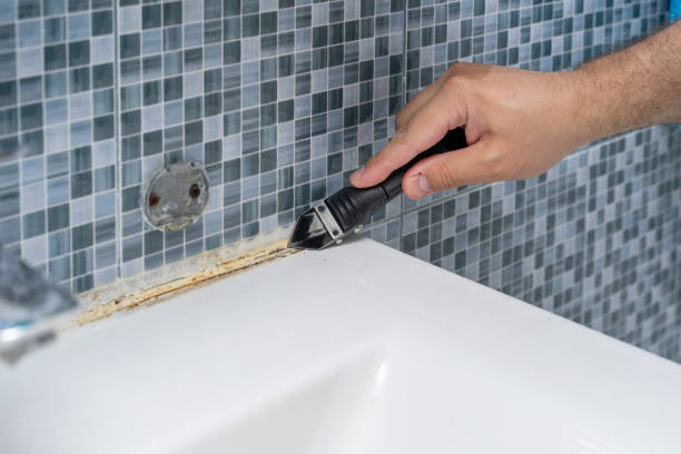 Best Fast Mold Removal  in Anthony, KS