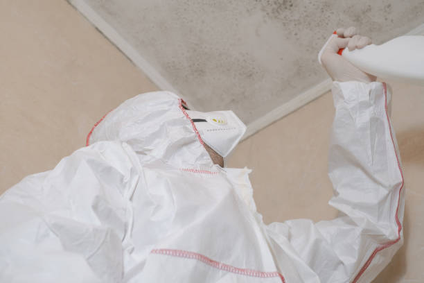Best Residential Mold Removal  in Anthony, KS