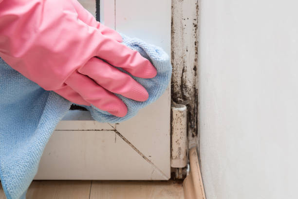 Best Water Damage Restoration  in Anthony, KS